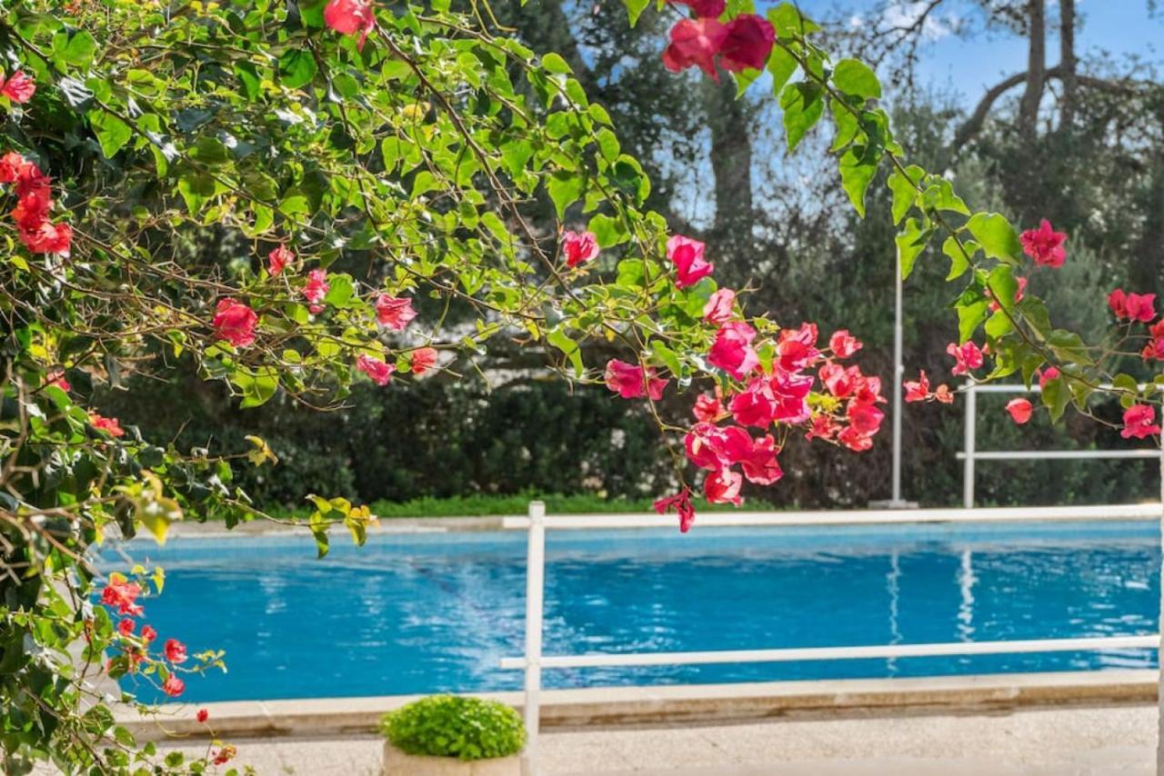 Apartamento Cap Roig Binibeca Dış mekan fotoğraf